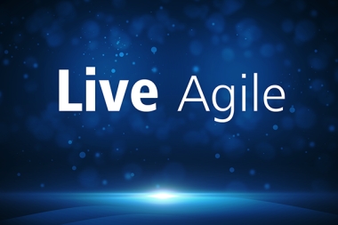 Treinamento Live Agile!